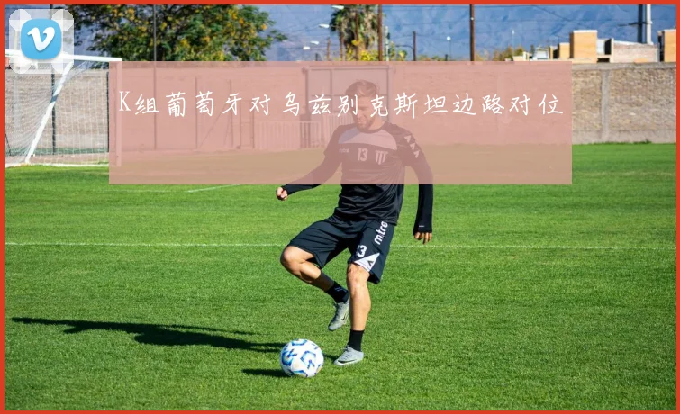 K组葡萄牙对乌兹别克斯坦边路对位