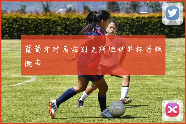 葡萄牙对乌兹别克斯坦世界杯晋级概率