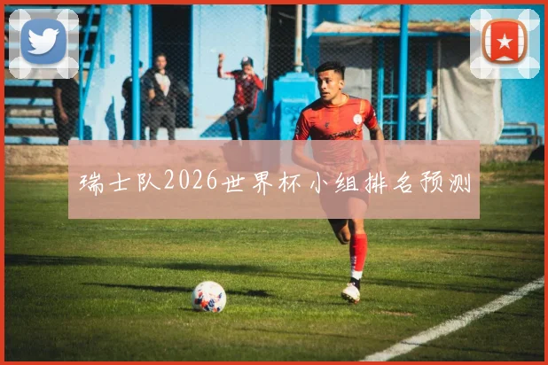 瑞士队2026世界杯小组排名预测