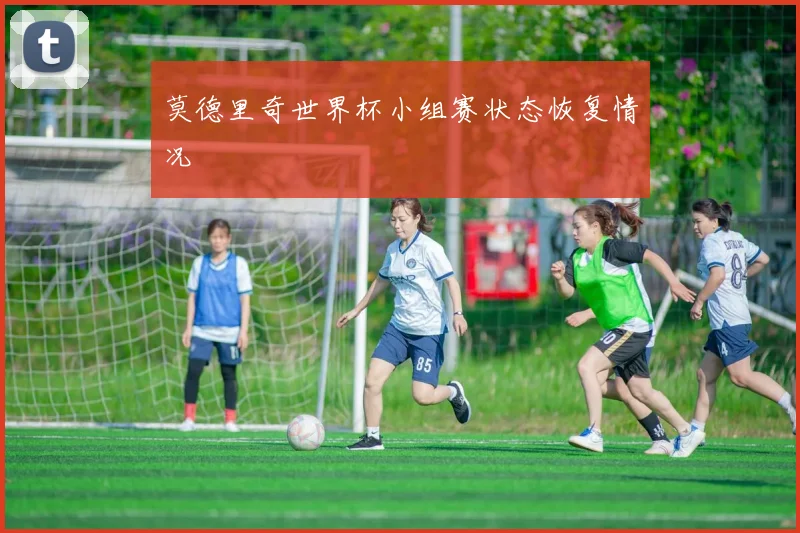 莫德里奇世界杯小组赛状态恢复情况